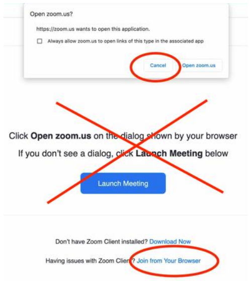 Zoom join screen showing the Join from your browser link option